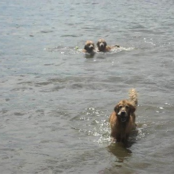 Stephanie Davy Photo 26