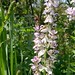 Anne Clary Photo 15