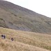 David Goch Photo 10