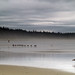 Steve Edler Photo 14