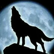 Randy Wolf Photo 32