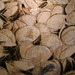 Paul Manes Photo 9