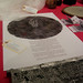Rebecca Dodd Photo 33