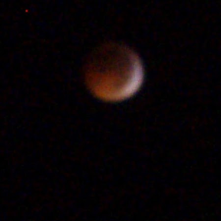 Michael Rowen Photo 6