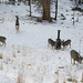 Jason Henke Photo 20