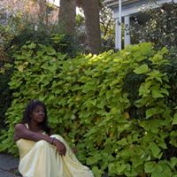 Vicki Mitchell Photo 9