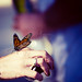 Michelle Bell Photo 29