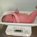 Elizabeth Pemberton Photo 35