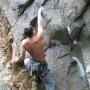 Joey Harris Photo 17