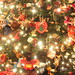 Hope Chrismas Photo 4