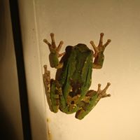 Ligia Zavala Photo 6