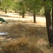 Kathy Peacock Photo 20