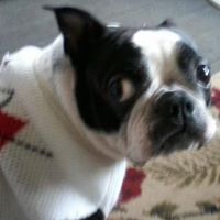 Janet Harker Photo 17