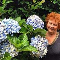 Anne Good Photo 16