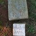 Mary Hauser Photo 35