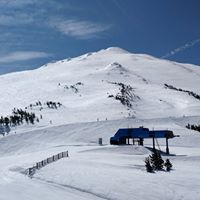David Wenzel Photo 41