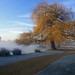 Matthew Frost Photo 28