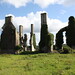 Charles Coote Photo 9