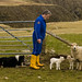 Jed Lamb Photo 8