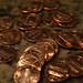 Penny Brand Photo 15