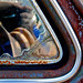 Stephen Reed Photo 35