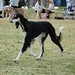 Deborah Ratliff Photo 30