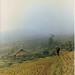 Giang Hoang Photo 17
