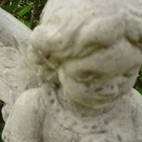 Susan Dugas Photo 5