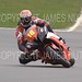 Mark Talbot Photo 19