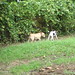 Jackie Baxter Photo 29