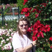 Darlene Wolfe Photo 8