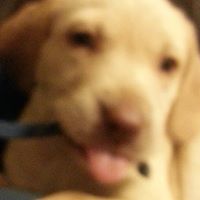 Charles Wiley Photo 27