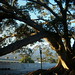 Barbara Pick Photo 26