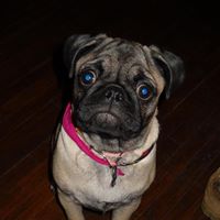 Connie Neal Photo 5