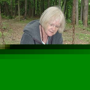 Carolyn Stephens Photo 16