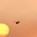 Sun Jiang Photo 8