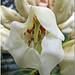Phyllis Anderson Photo 11