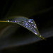 Scott Bond Photo 15