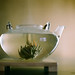 John Bloom Photo 38
