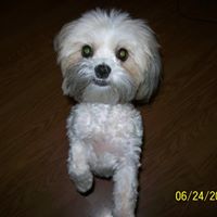 Bailey Keith Photo 13