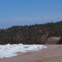 Debbie Whalen Photo 9