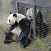 Hua Her Photo 9
