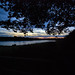Dawn Trout Photo 13
