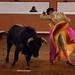 Sergio Flores Photo 34