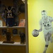 Jerry West Photo 9