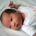 Abigail Young Photo 12