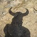 John Olmstead Photo 40