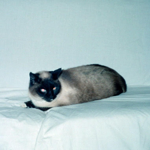 Richard Beeson Photo 6