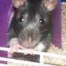 Amy Ingalls Photo 27