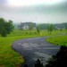 Susan Toth Photo 19